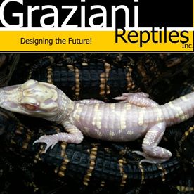 Graziani Reptiles Inc.